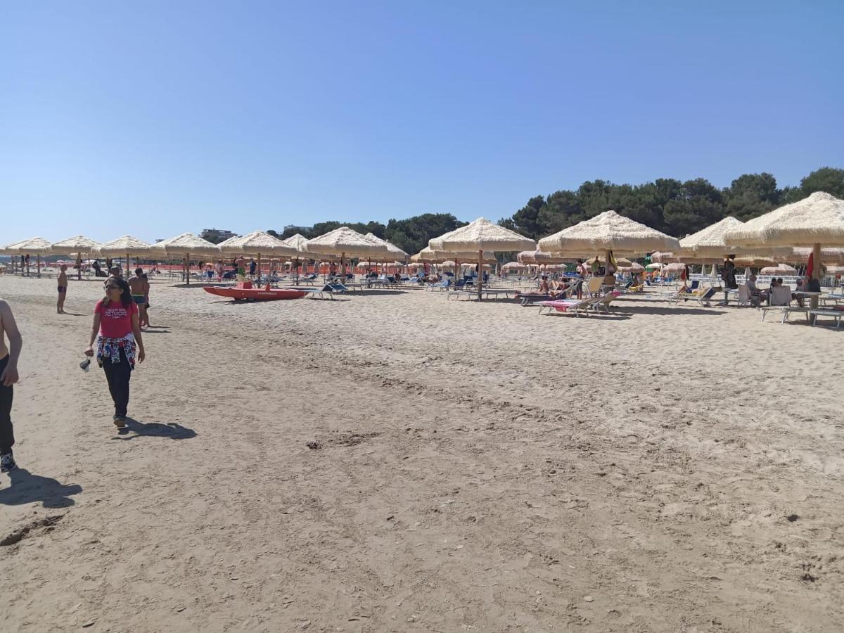 Montesilvano Marina Villa Annamaria מראה חיצוני תמונה